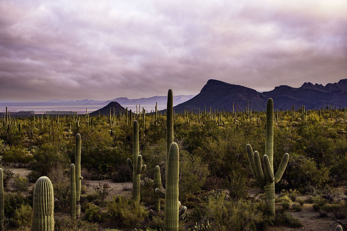 most-photographed-national-parks