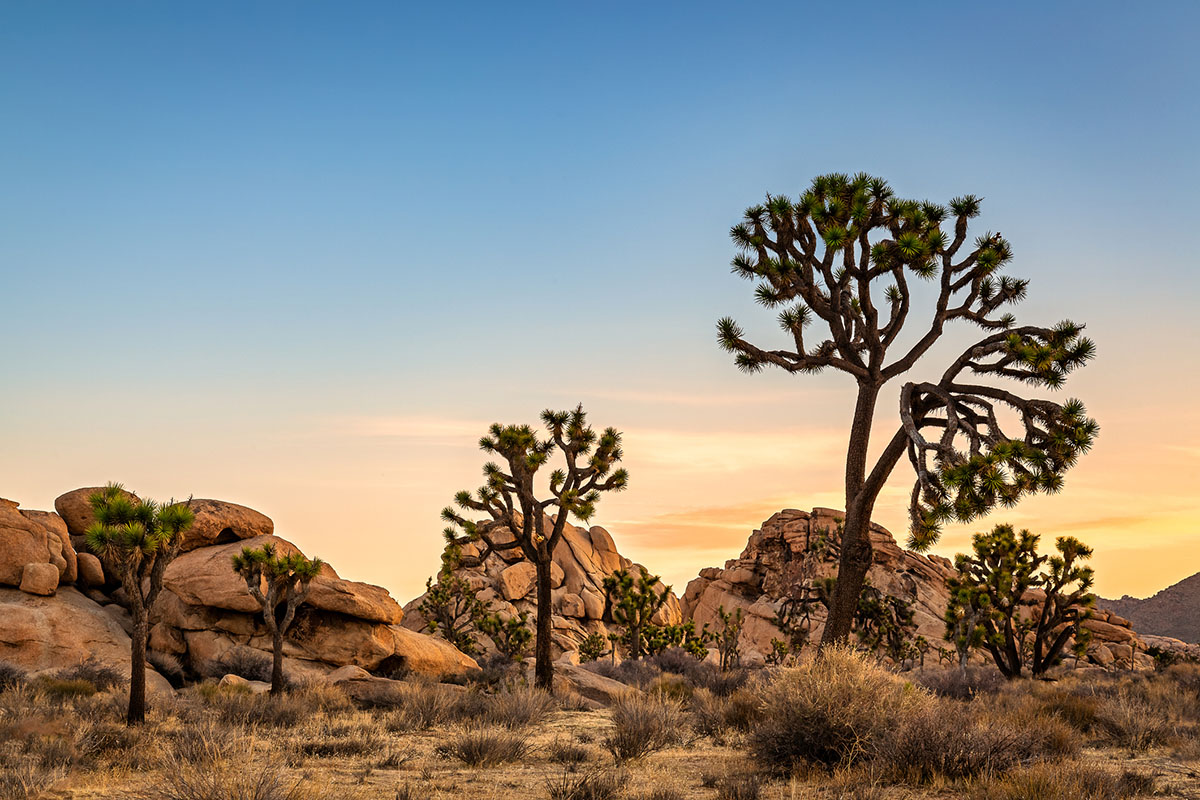 most-photographed-national-parks