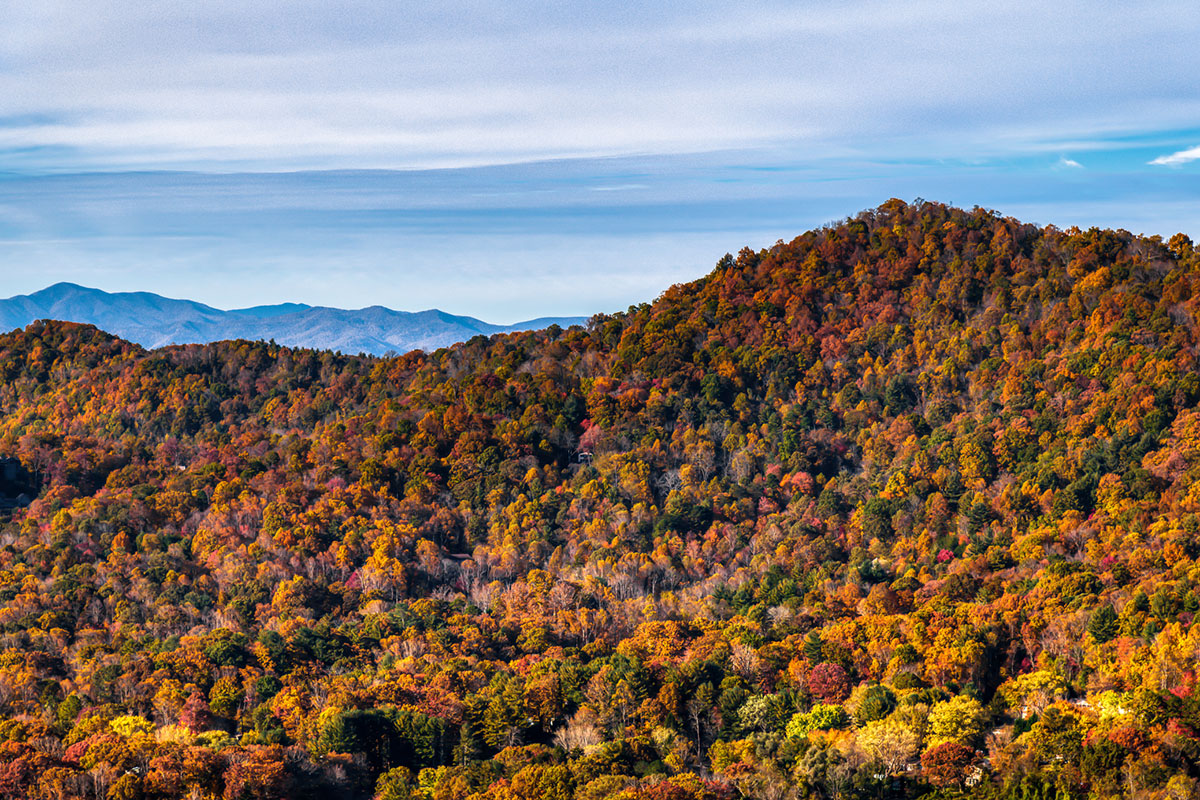 see-fall-colors-from-above