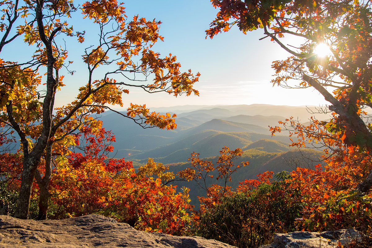 see-fall-colors-from-above