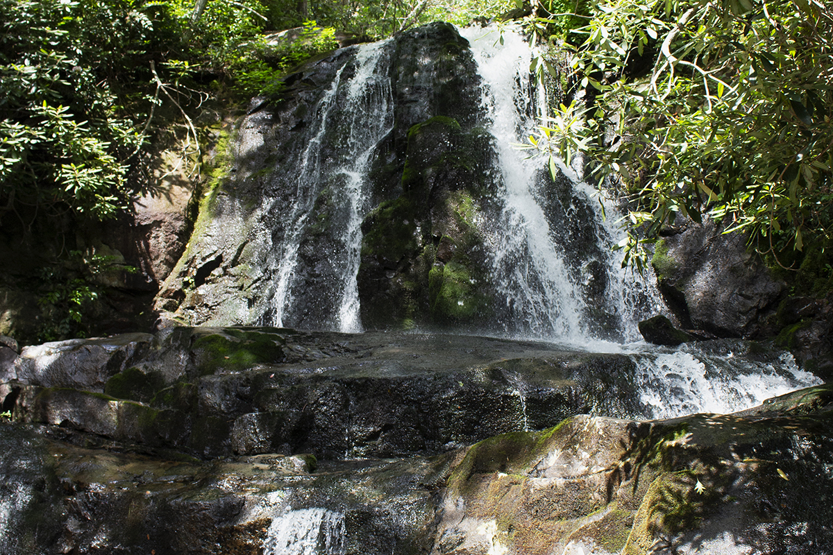 things-to-see-in-great-smoky-mountains-national-park