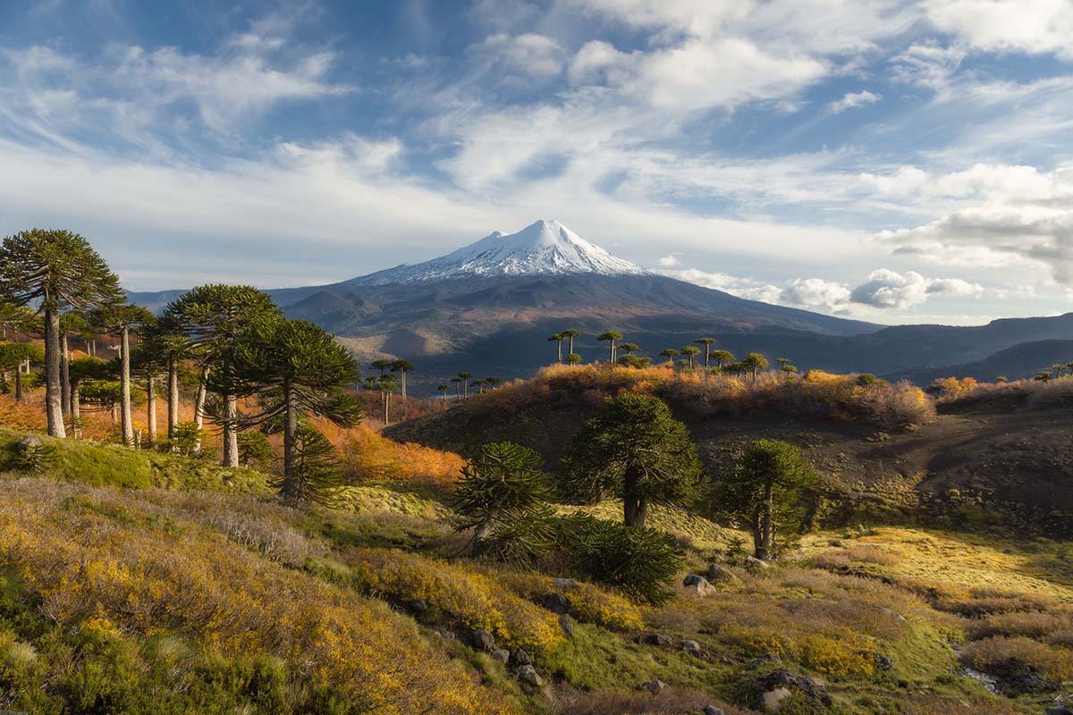 things-you-didnt-know-about-patagonia-national-park