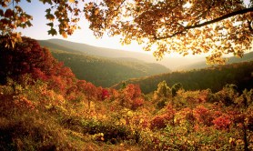 things-you-didnt-know-about-shenandoah-national-park