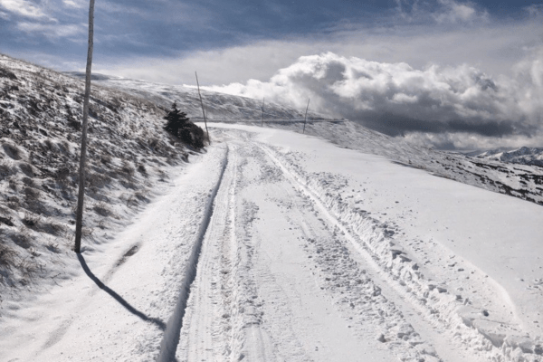 rmnp trail ridge