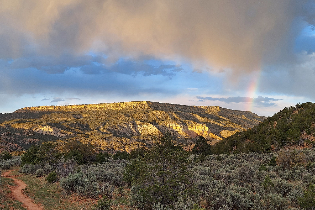 CDT Desert Rainbow