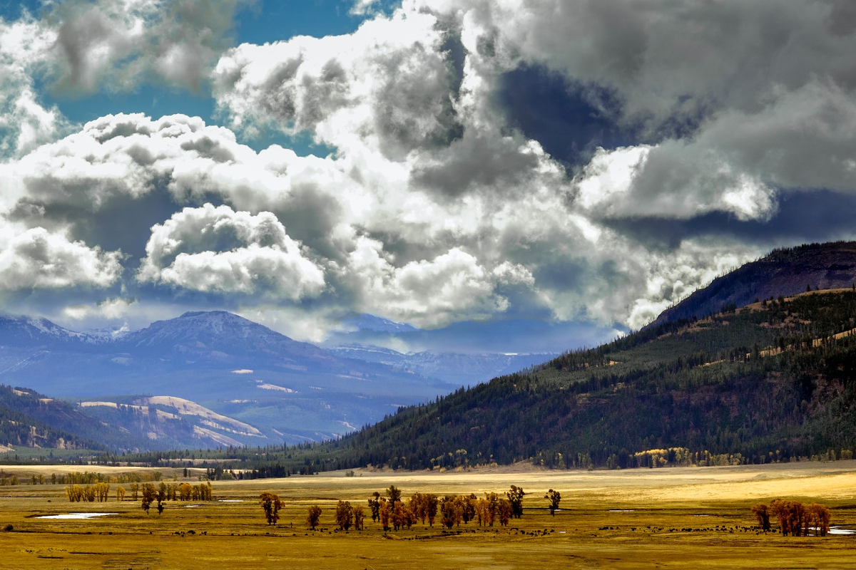 Yellowstone Valley