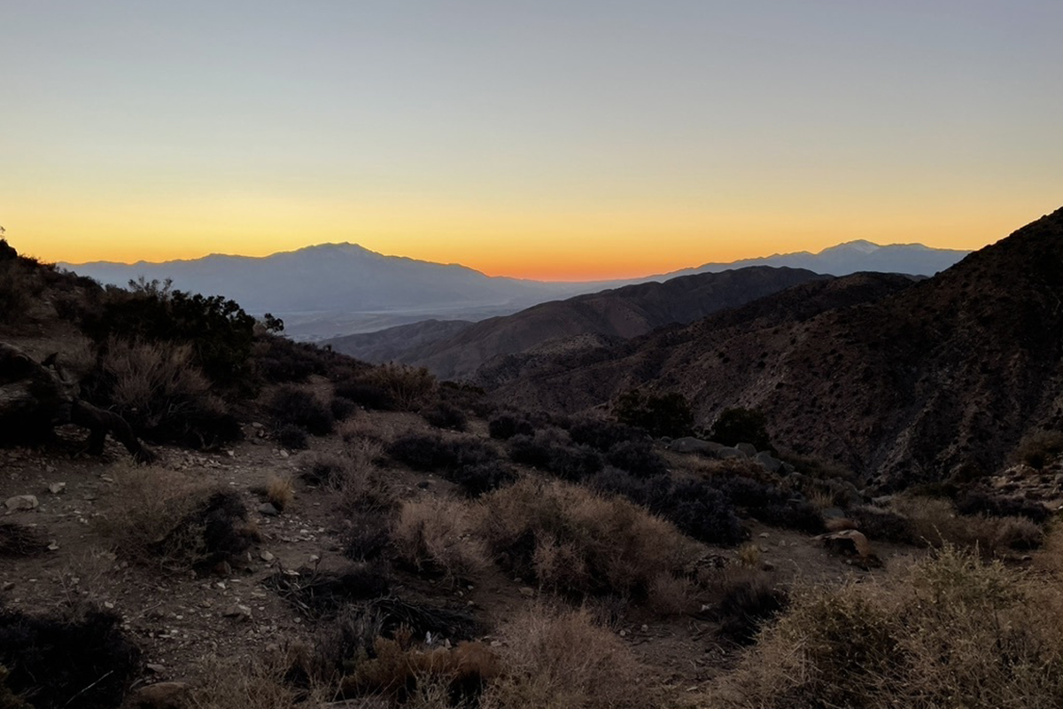 best-things-to-do-in-joshua-tree-winter