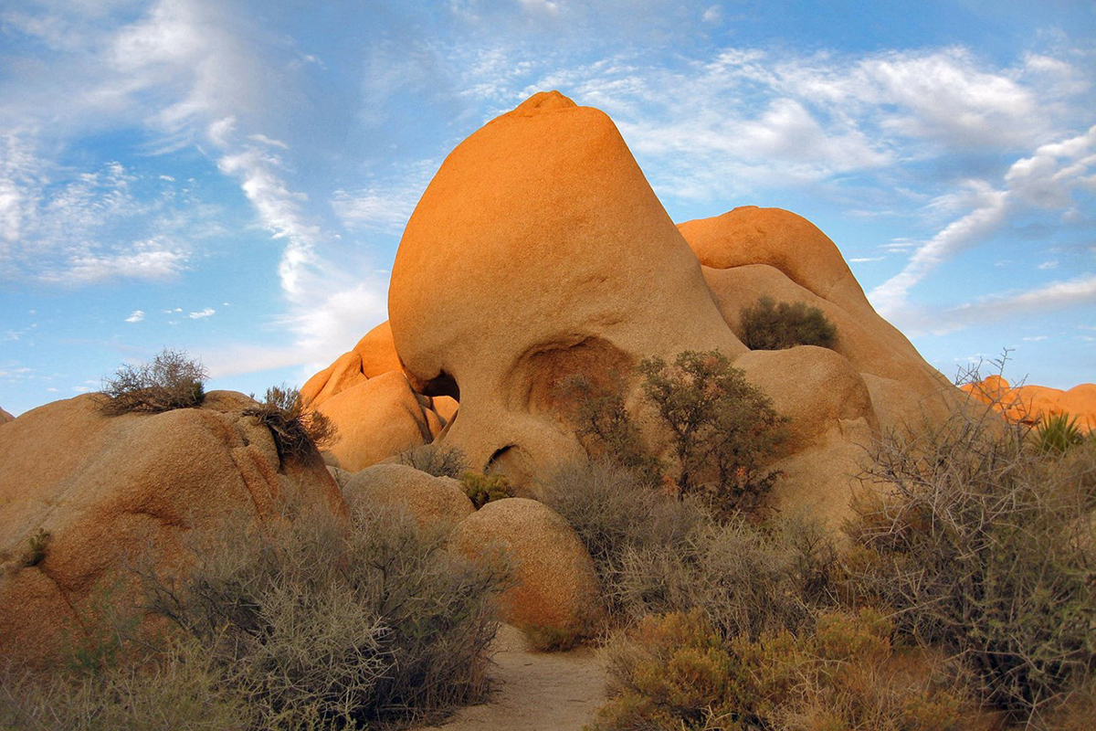 best-things-to-do-in-joshua-tree-winter