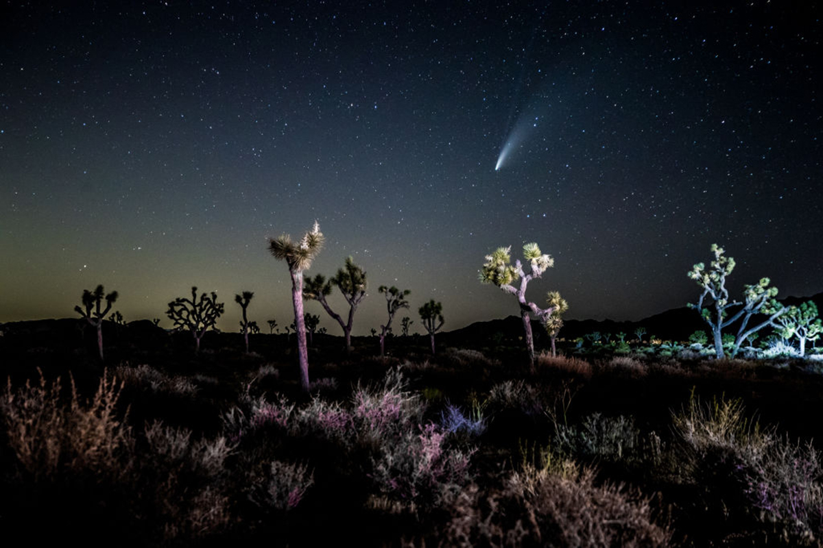 best-things-to-do-in-joshua-tree-winter