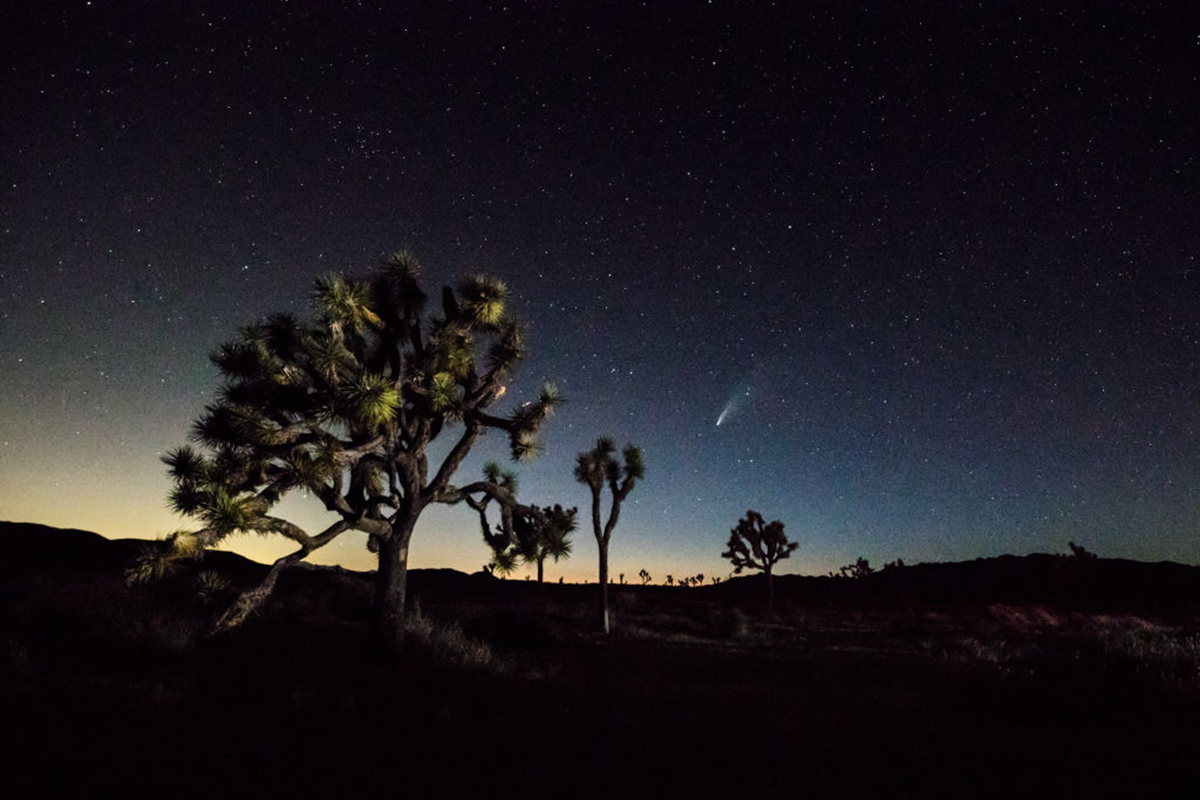 best-things-to-do-in-joshua-tree-winter