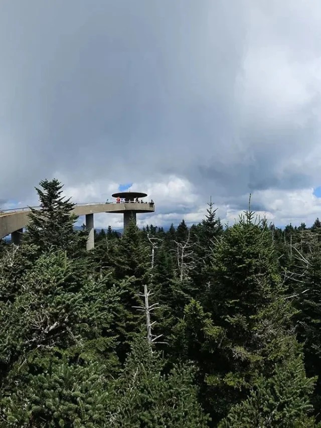 Clingman’s Dome