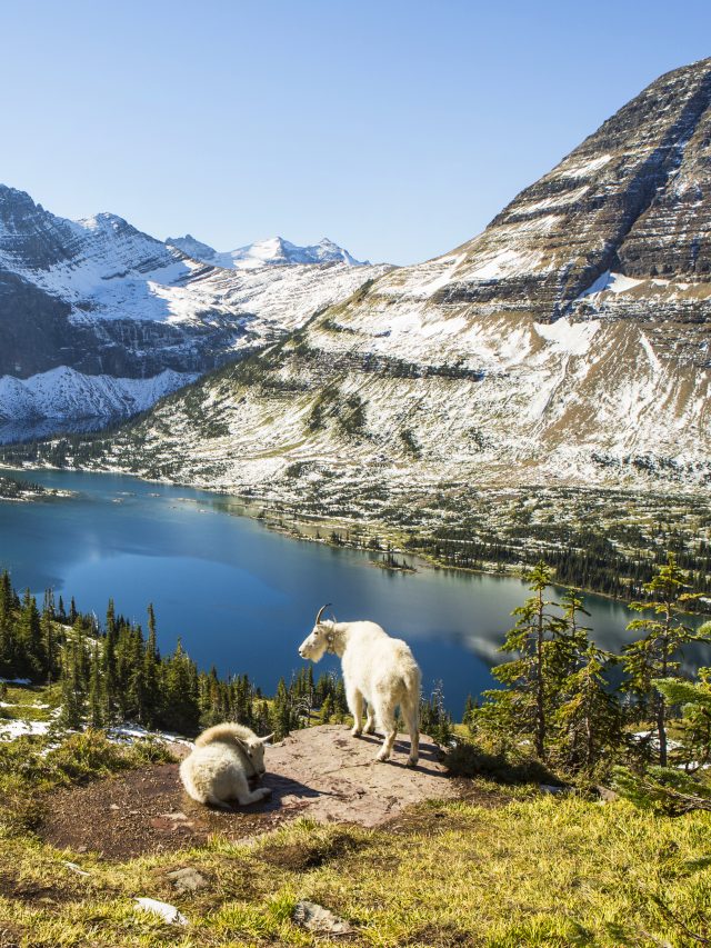 glacier naitonal park