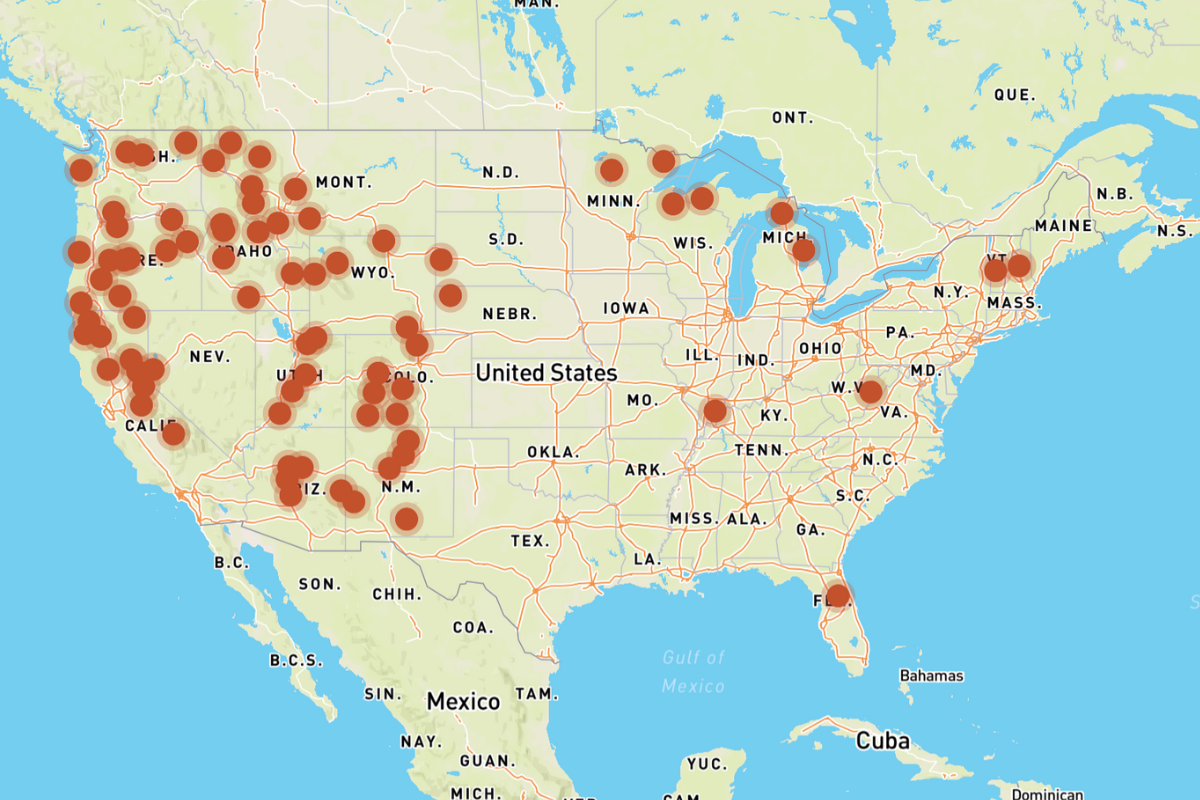 places to cut down your own Christmas tree