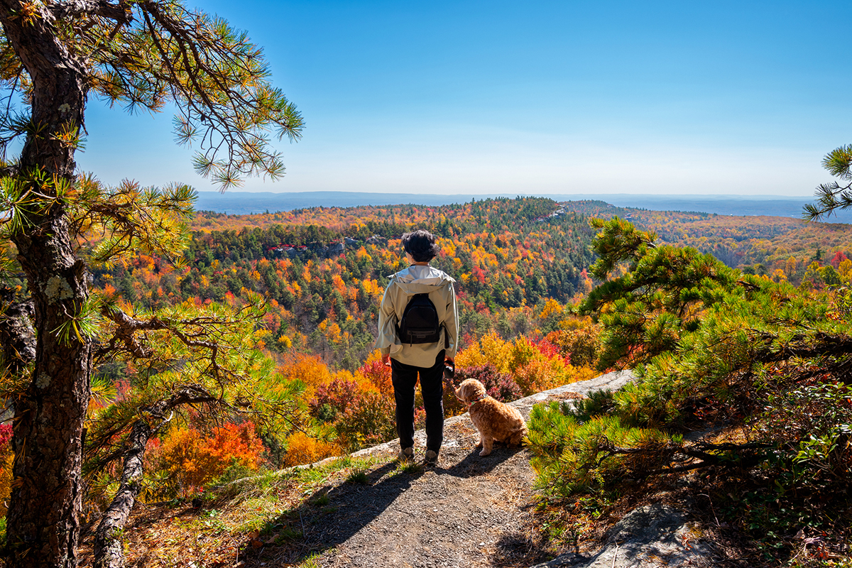 how-to-have-active-thanksgiving