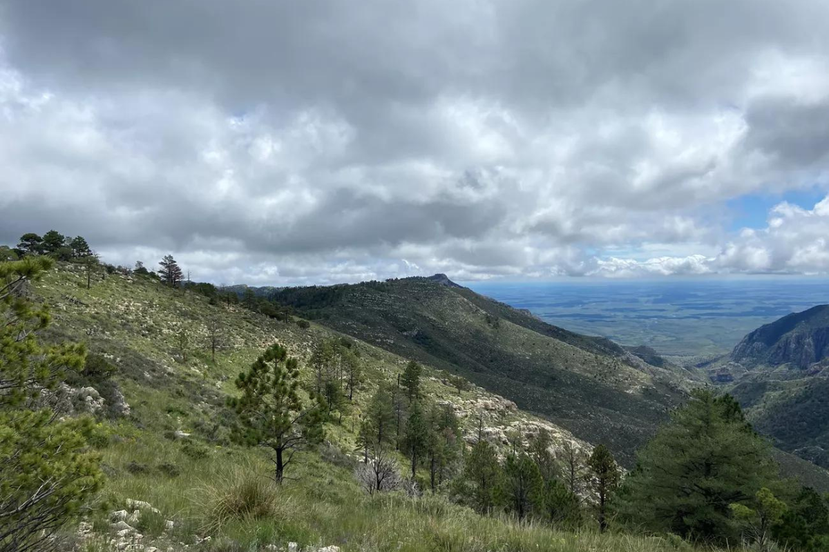 missing hiker in Guadalupe mountains