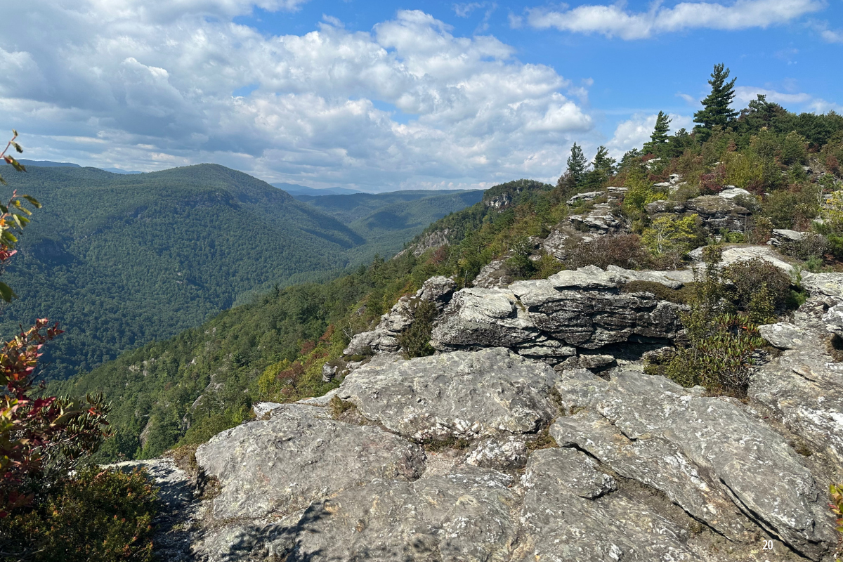 Pisgah instead of Great Smoky