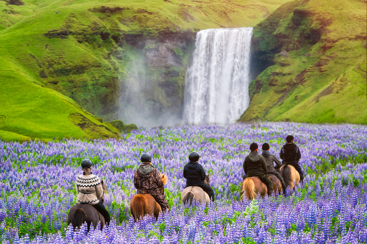 places-to-go-horseback-riding