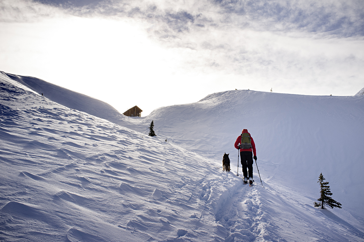 prepare-for-avalanche-with-safety-courses