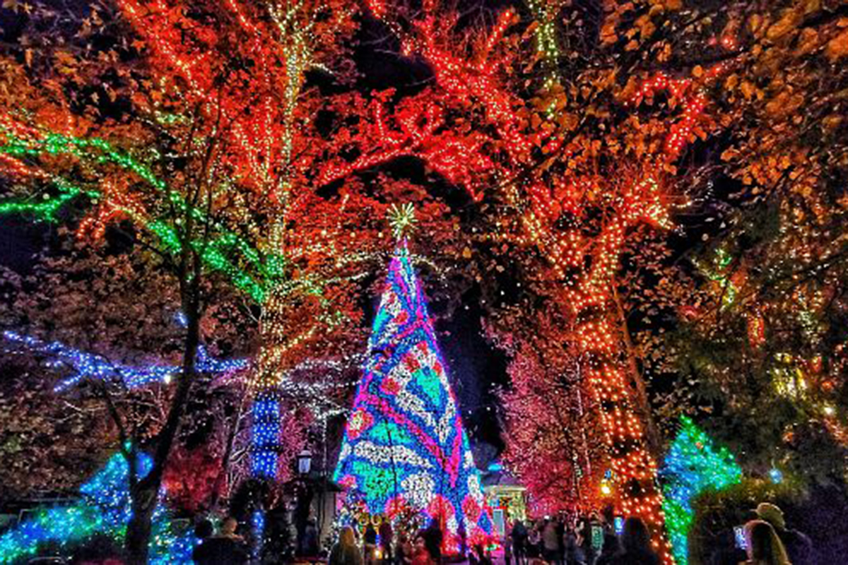 top-holiday-light-shows-in-the-us