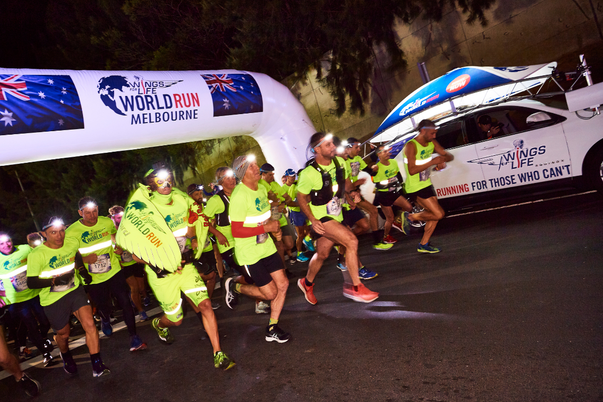 Wings for life world run