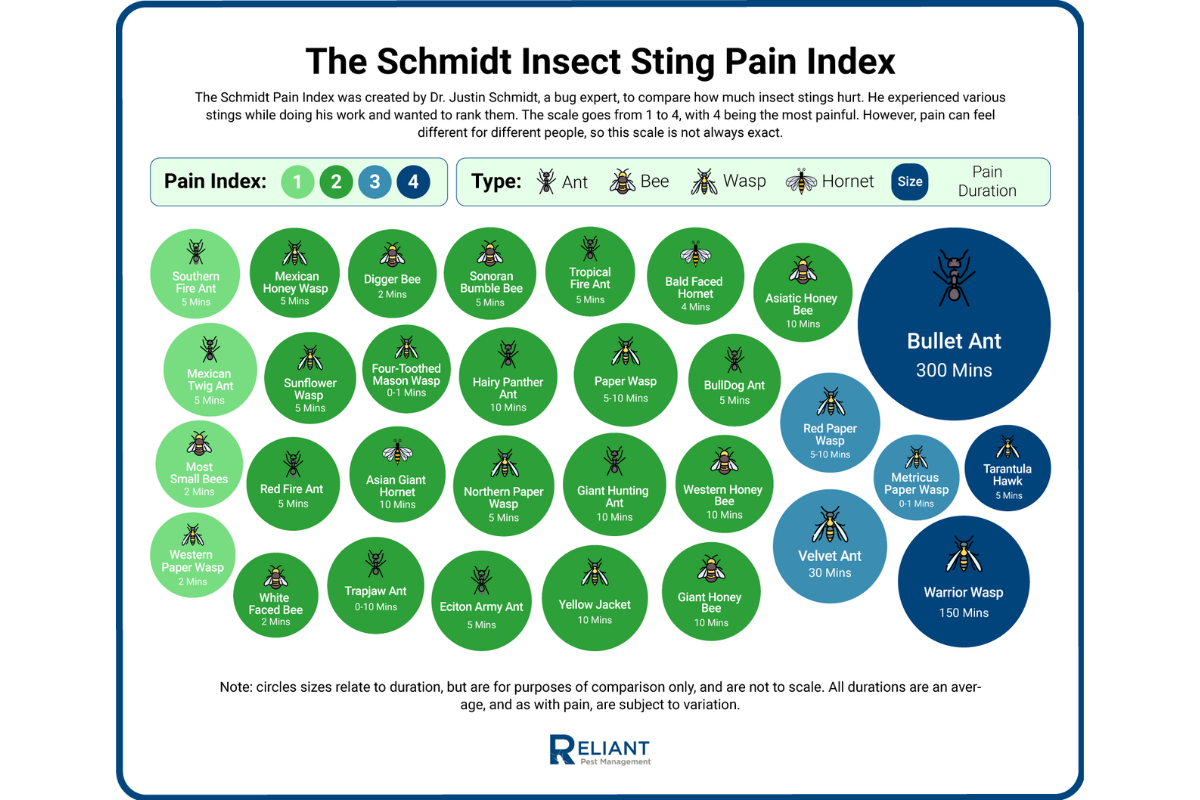 worst bug stings in north america