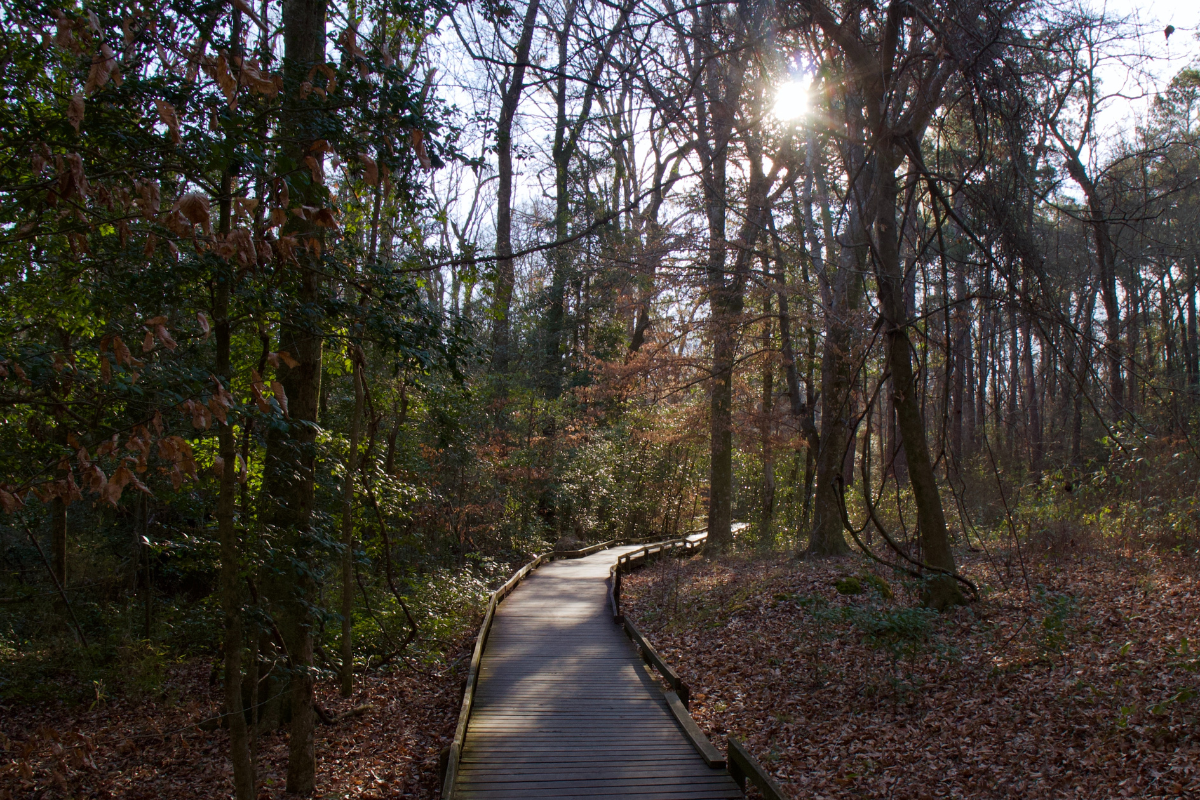 congaree national park worth it