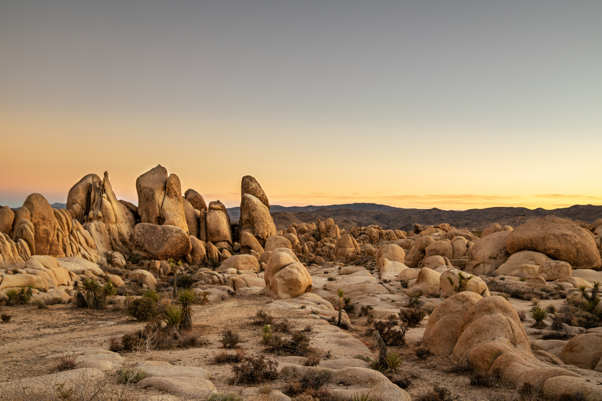 death valley vs joshua tree