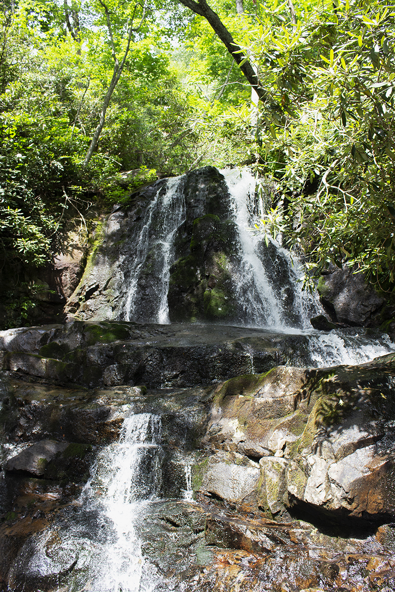 hikes-for-different-skill-levels-great-smoky-mountains