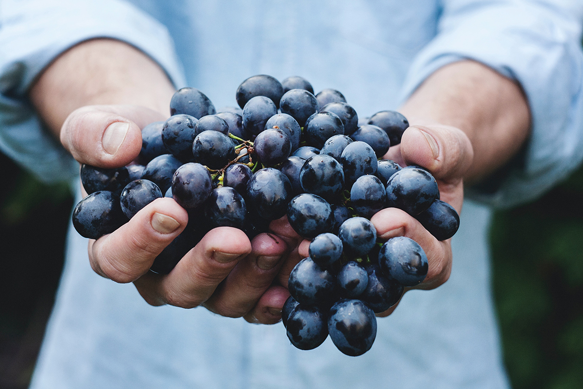 hiking-snacks-to-keep-your-stomach-happy