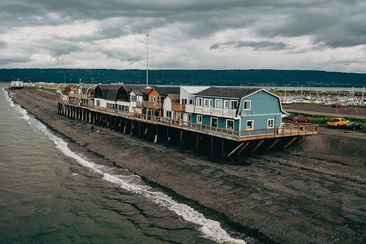 travel-to-homer-alaska-to-see-grizzly-bears