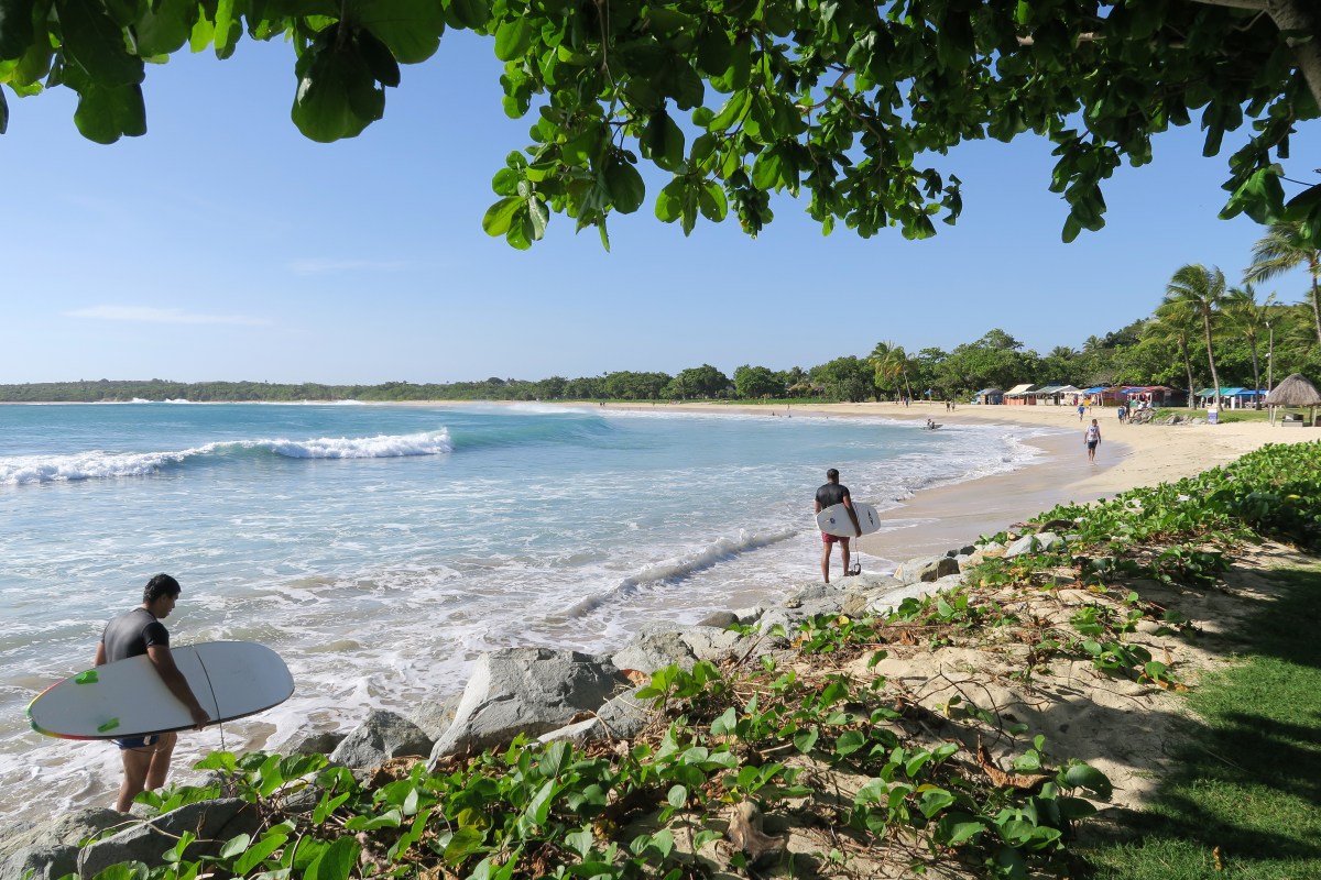 surfing Fiji