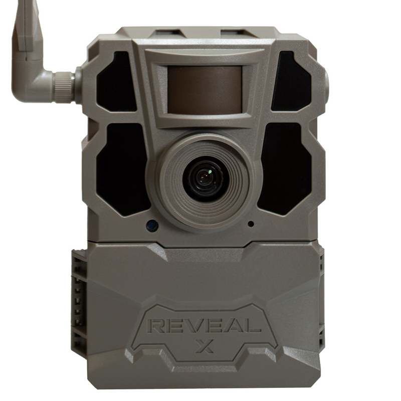 best-trail-cameras-to-watch-wildlife