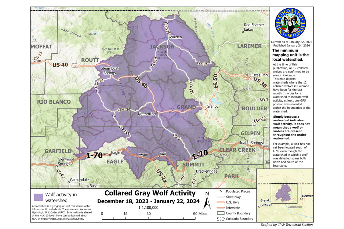 colorado wolves map