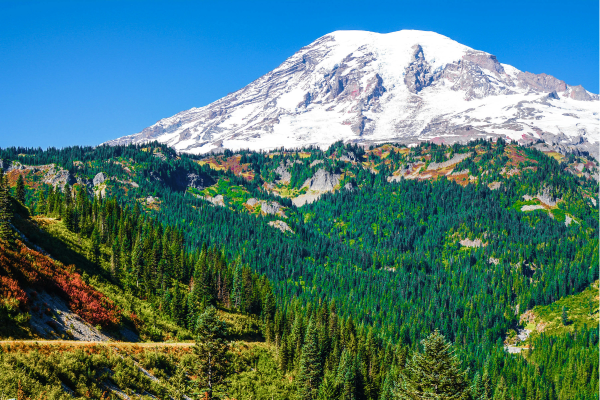 mount rainier reservations