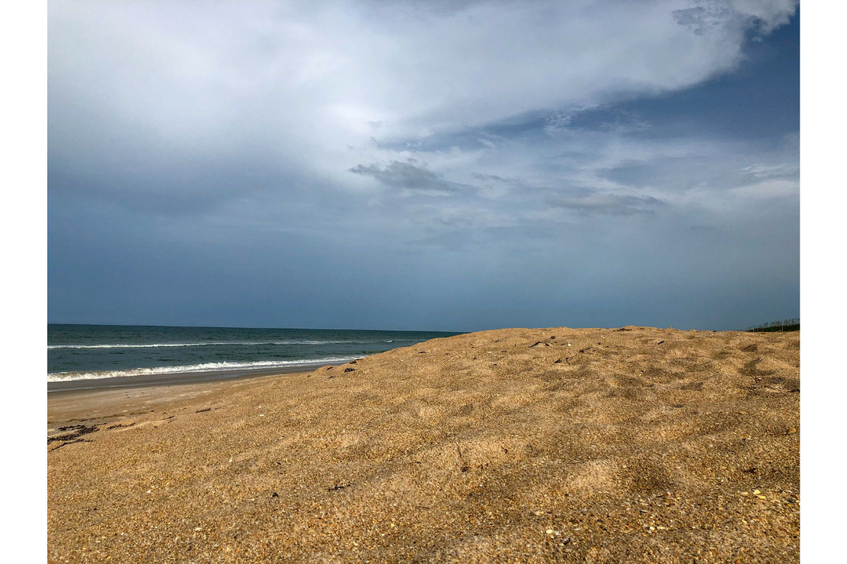 florida seashore