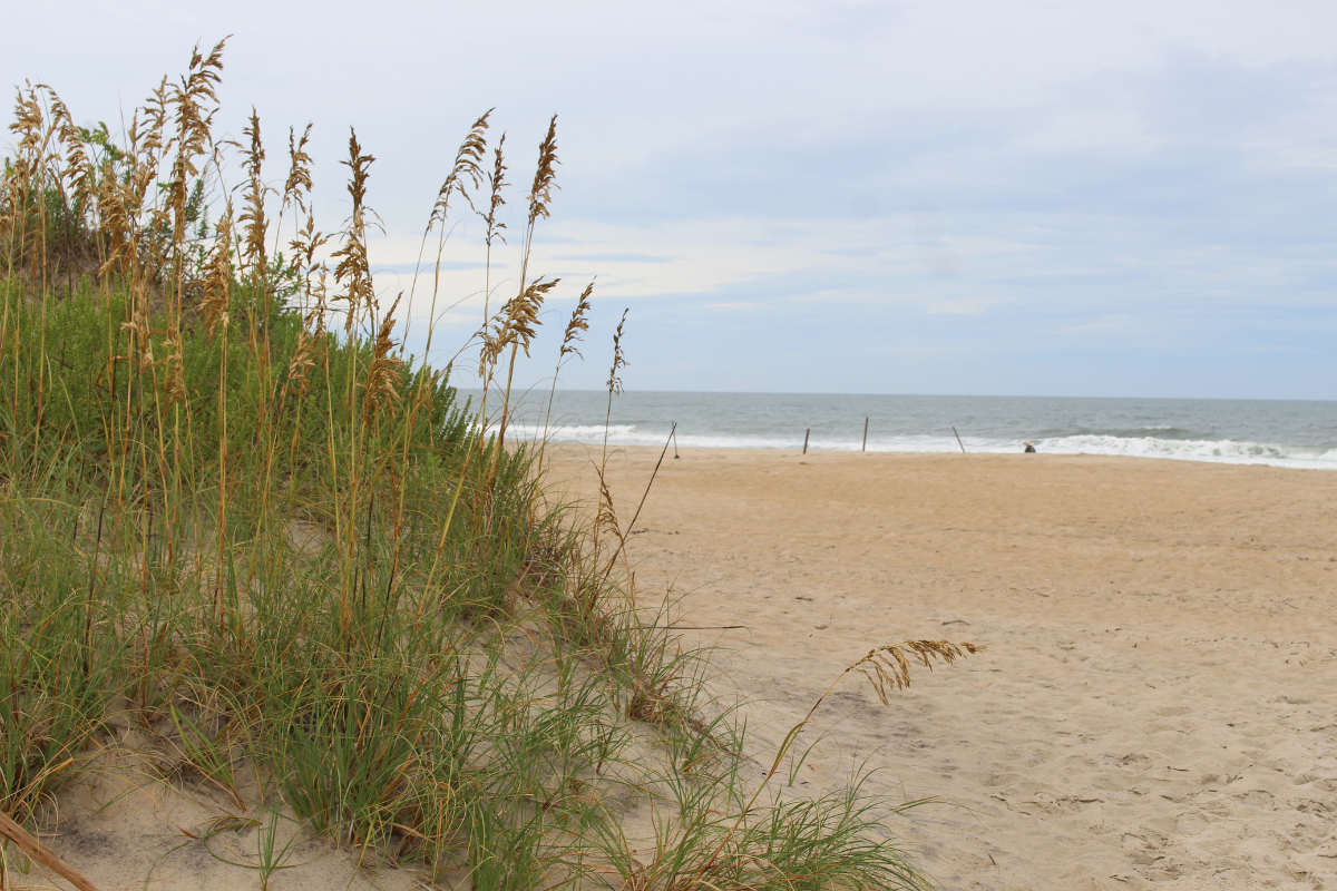 cape hatteras national seashore