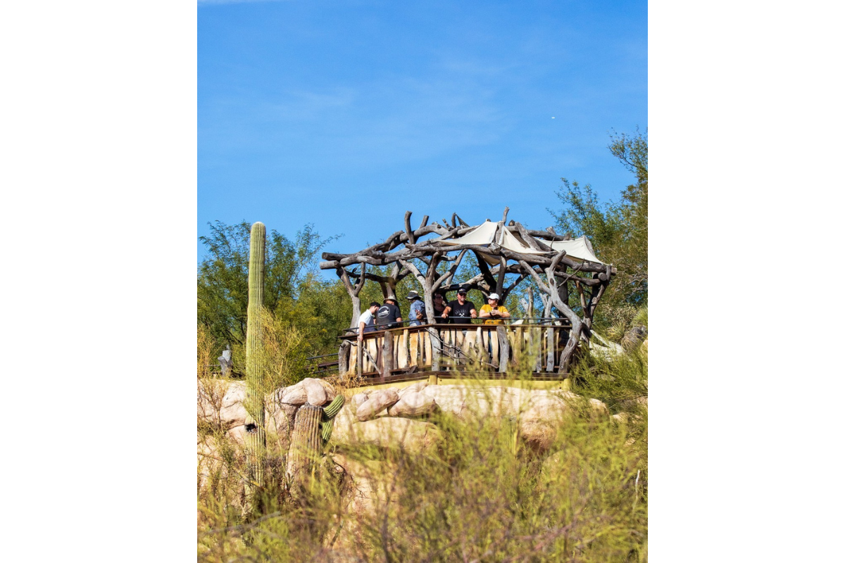 A nearby museum makes Saguaro National Park worth visting