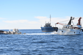 Building an artificial reef