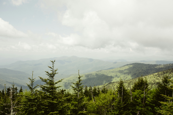 Rangers are investigating an arson case in Great Smoky Mountains National Park