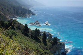 experience-california-coastal-wildlife