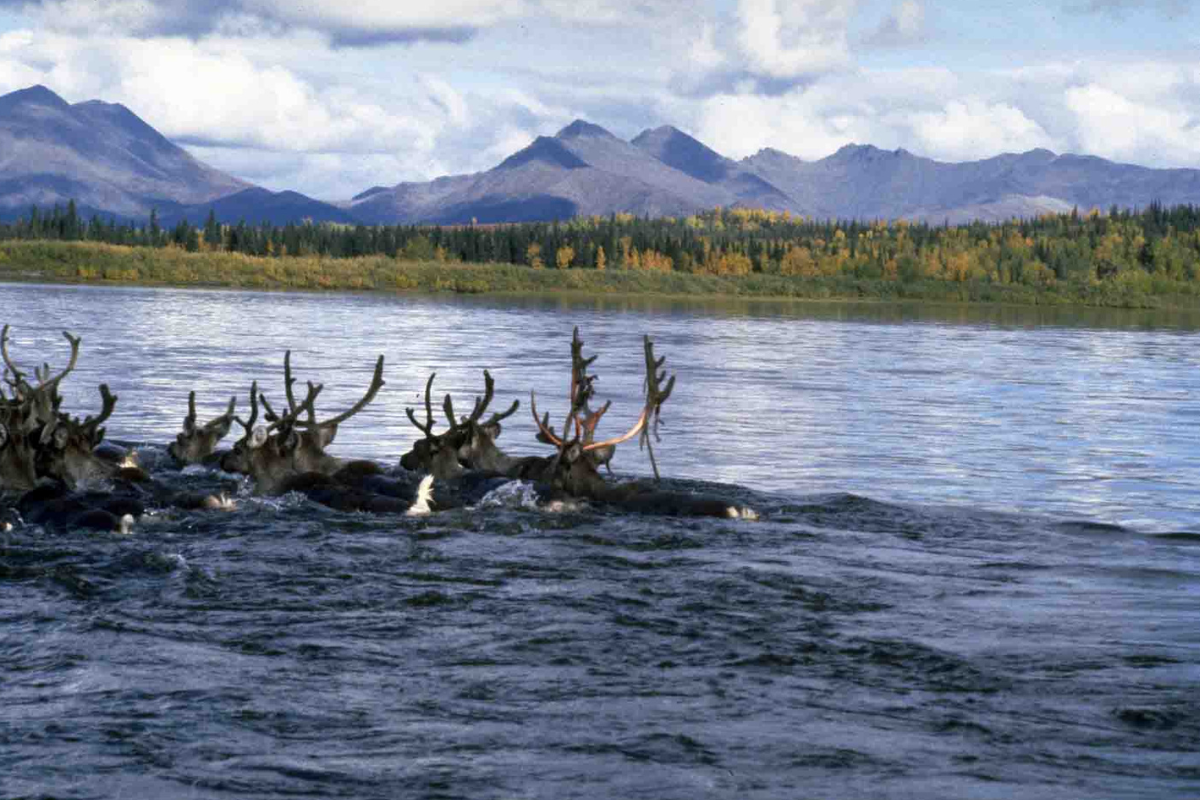 alaska national parks