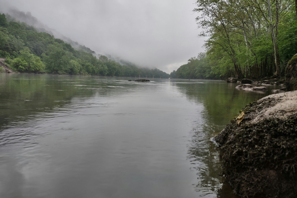 The New River Gorge saw a record increase in new national park visitor numbers.