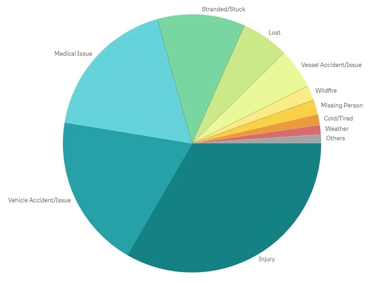 garmin report reason