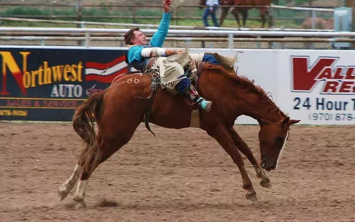 rodeo