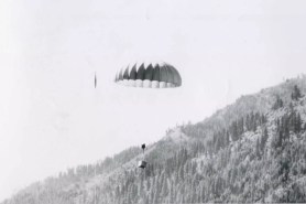 parachuting beavers