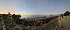 sea lions close monterey california beach