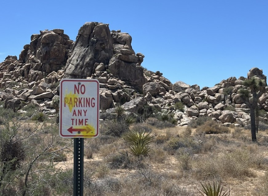 vandalism in joshua tree