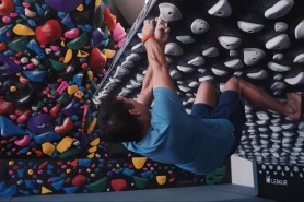 Alex Honnold home climbing gym