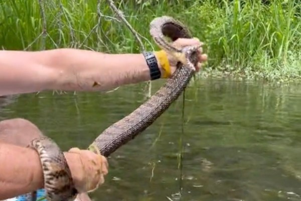 Texas man pull snake from river while tubing