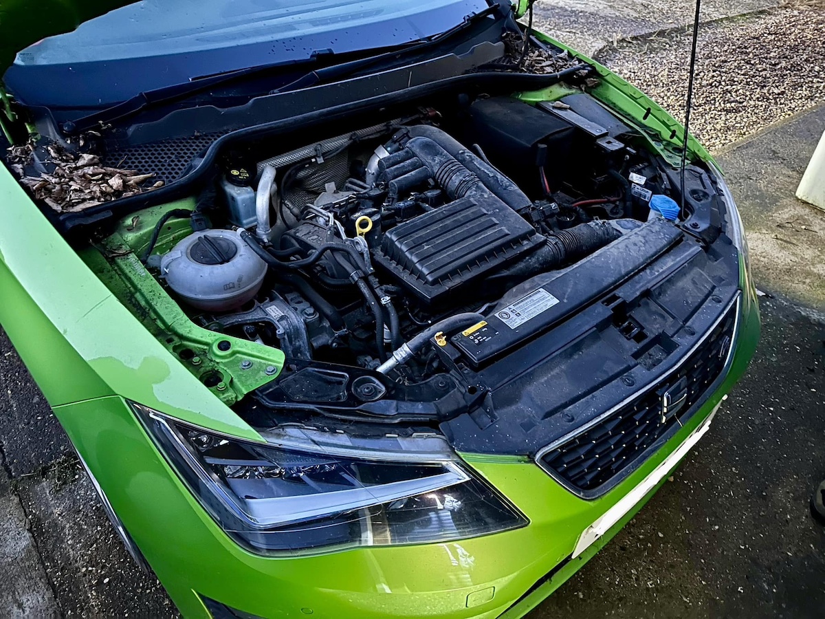 animal stuck in car engine